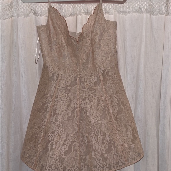 Keepsake Sundream Blush Lace Dress - Picture 4 of 5